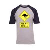 Raglan Sleeve Tee Thumbnail